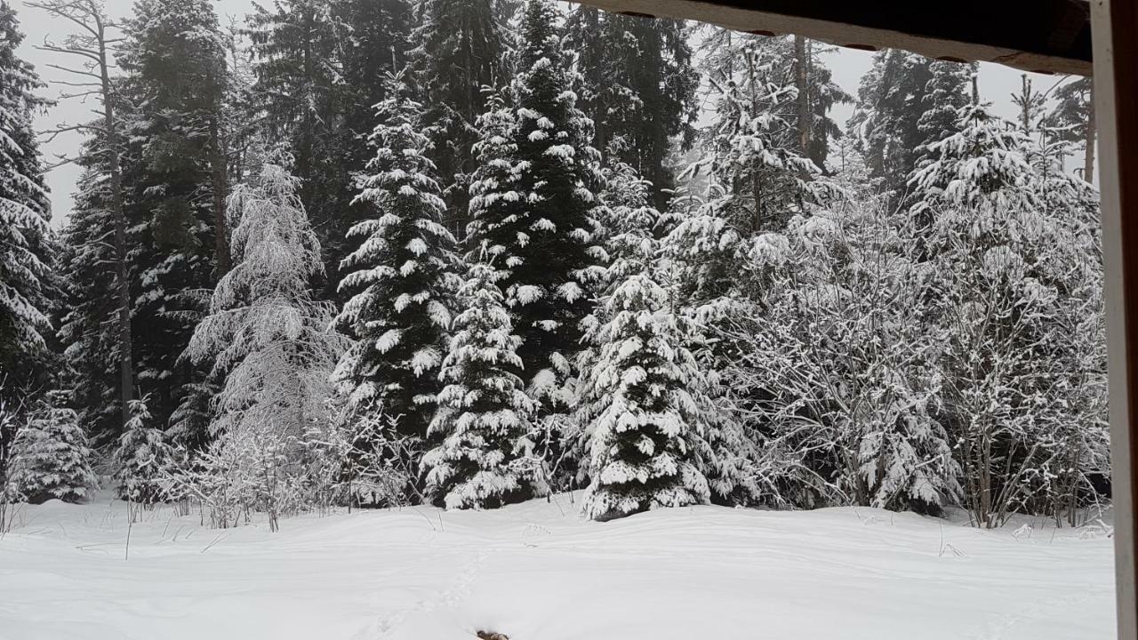 Chalet Taffski 보로베츠 외부 사진